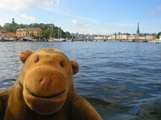 Mr Monkey looking towards Skeppsholmen island