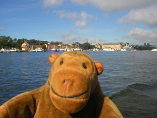 Mr Monkey enjoying the sunshine on a boat
