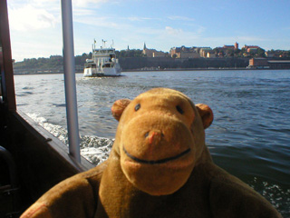 Mr Monkey watching another ferry