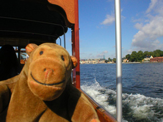 Mr Monkey looking from the tour boat