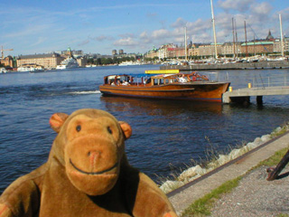 Mr Monkey looking at his tour boat near the Vasamuseet