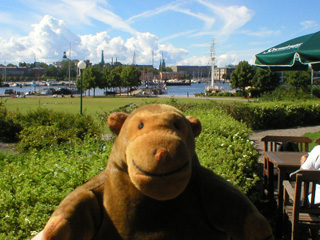 Mr Monkey looking at the harbour from the Amiralen restaurant