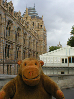 Mr Monkey looking at the front of the museum