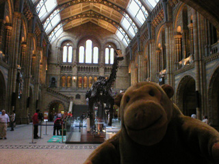 Mr Monkey looking at the Central Hall of the museum