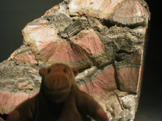 Mr Monkey with a rock showing many signs of formation