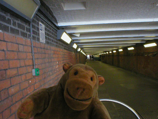 Mr Monkey in the Worker's Tunnel