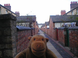 Mr Monkey looking at the alley behind two rows of houses