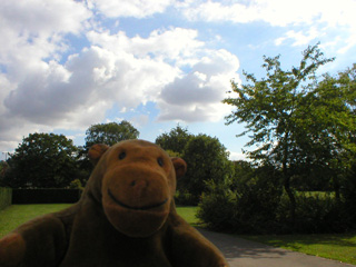 Mr Monkey looking at greenery in the park