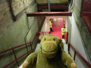 Mr Monkey scampering up some stairs
