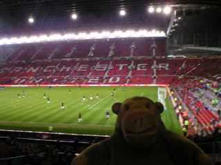 Mr Monkey looking across the stadium