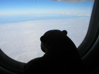 Mr Monkey looking at clouds from the plane