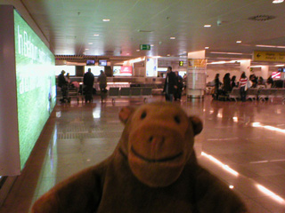 Mr Monkey wandering around Brussels airport