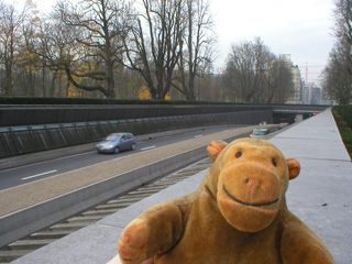 Mr Monkey watching traffic beneath the Jubelpark