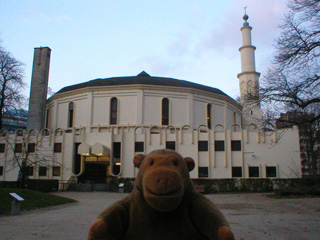 Mr Monkey looking at the Great Mosque