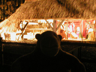 Mr Monkey looking at a Christmas manger in the Grand Place