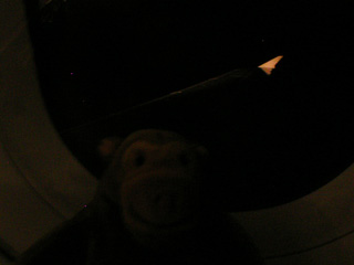 Mr Monkey looking out of the plane window in flight