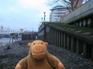 Mr Monkey at the bottom of the steps down from the Thames path