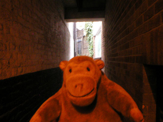 Mr Monkey scurrying through a Ely Court