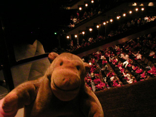 Mr Monkey looking at the audience