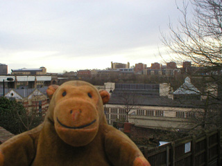 Mr Monkey looking towards Gateshead