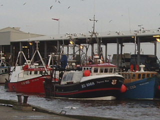 North Shields trawlers