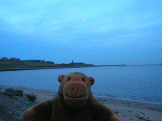 Mr Monkey looking towards Tynemouth