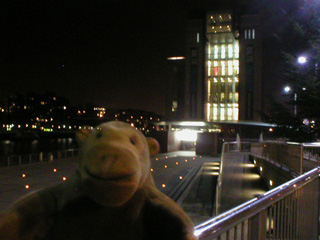 Mr Monkey looking at the Baltic at night