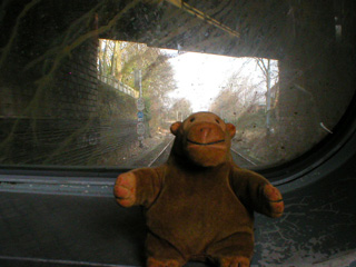 Mr Monkey looking out of the front of a Metro train