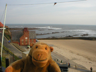 Mr Monkey looking down on Cullercoats beach