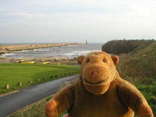 Mr Monkey looking down on Tynemouth harbour