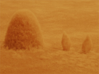 A hump and two fluffy ears rising out of a carpet