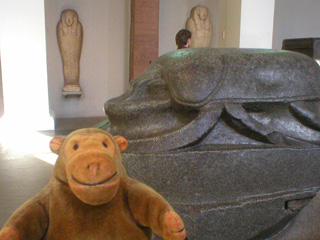 Mr Monkey studying a giant scarab