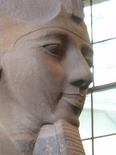 Ramesses II's face