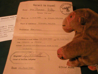 Mr Monkey inspecting his fake travel documents