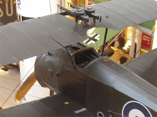 The cockpit and upper wing of the Camel