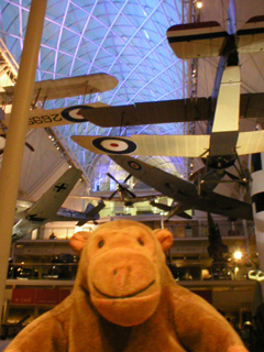 Mr Monkey looking up at the roof of the main hall