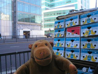 Mr Monkey examining a stack of banana boxes outside Euston Square tube