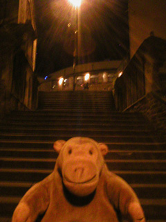 Mr Monkey looking up Christmas Steps at night