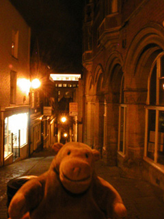Mr Monkey looking down Christmas Steps at night