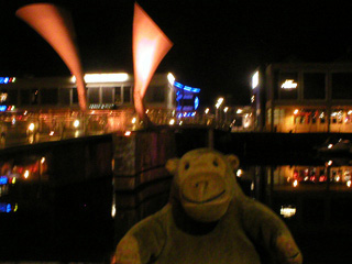 Mr Monkey looking at Pero's Bridge lit up at night