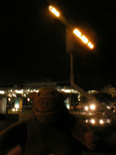 Mr Monkey looking at the Space Signpost at night