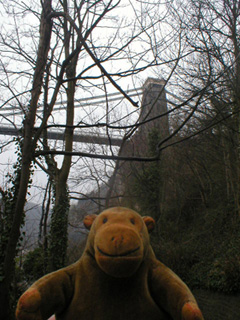 Mr Monkey looking up at the Clifton pier from the Zig Zag Path