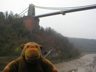 Mr Monkey looking at the Liegh Wood pier from the path