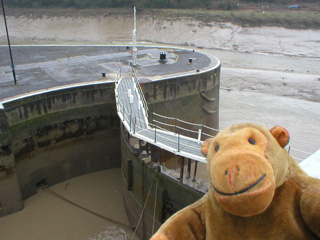 Mr Monkey looking at the outer gates of the floating harbour's lock
