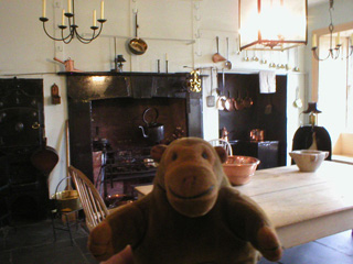 Mr Monkey in the kitchen of the Georgian House