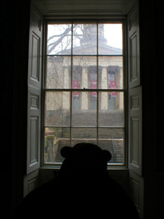 Mr Monkey looking out of the library window