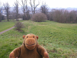 Mr Monkey looking at ditches on Brandon Hill