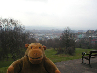 Mr Monkey looking at the harbour from Brandon Hill