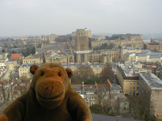 Mr Monkey looking north from Cabot's tower
