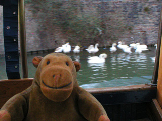 Mr Monkey watching swans from the ferry